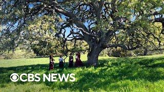 California announces largest land return in state's history