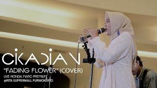 YUNA - FADING FLOWER (Cikadian Cover) Live at #HondaMaticPremium