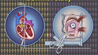 Transcatheter Aortic-Valve Replacement