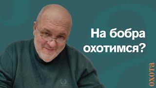 Охота на бобра. Валерий Кузенков об отличии канадского и европейского бобра.