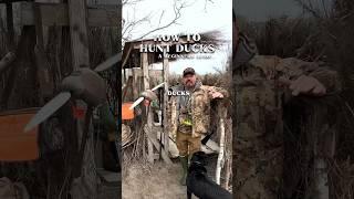  HOW TO HUNT DUCKS FOR BEGINNERS