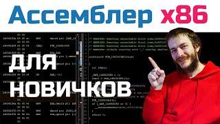 Ассемблер ДЛЯ НОВИЧКОВ: асм и дизасм