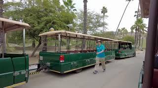 San Diego Zoo Safari Park - Full Africa Tram Ride