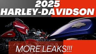 2025 Harley-Davidson Carry Over Models Released and Low Rider ST Leak