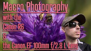 Macro Photography with the Canon R6 & the Canon EF 100mm f/2.8 L Lens