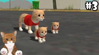 Cat Sim Online: Play with Cats - Cute Baby Kitten - Android / iOS - Gameplay Episode 3