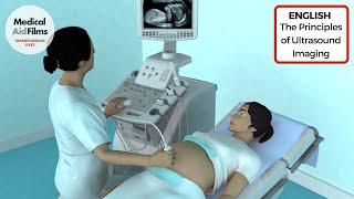 The Principles of Ultrasound Imaging