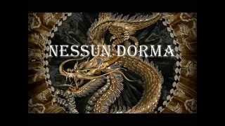 Nessun Dorma ("Turandot" by Puccini ) Marino van Wakeren.Tenor.