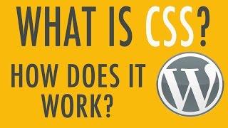 What is CSS? How can you use it in WordPress?