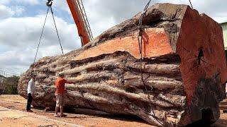 Cutting Ancient Christmas Tree // The Largest Woodworking Project On The Planet