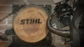 2024 New Zealand STIHL TIMBERSPORTS(R) Women's, Rookies and Open Championship Highlights