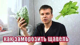 Как заморозить щавель на зиму