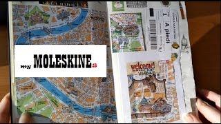 Мои блокноты Молескин | My notebooks Moleskine