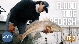 FLY FISHING FOR MONSTER REDFISH | EBBS & FLOWS EP. 2