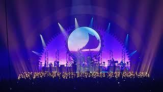 Pink Floyd Project - High hopes (Live in Ahoy)