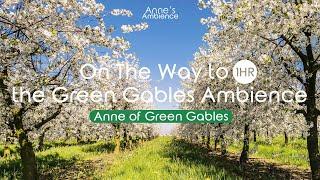 Anne of Green Gables ASMR AmbienceAnne and Mr. Matthew Cuthbert heading to Green Gable in a buggy