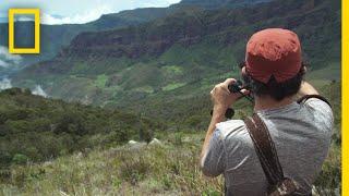 Birdwatching with FARC | National Geographic