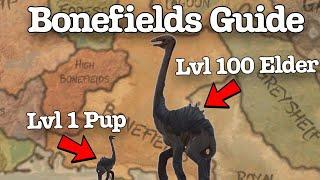 Should You Settle the Bonefields? | Kenshi Location Guide