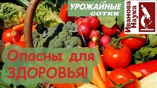 Почему овощи становятся ЯДОМ? Дело в мульче! Как безопасно выращивать все овощи?