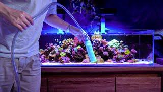 My Low Tech Reef Tank Maintenance Routine