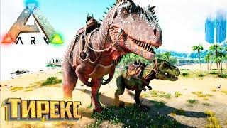 Тираннозавр Для Сравнения - ARK Survival Evolved Island Выживание #12