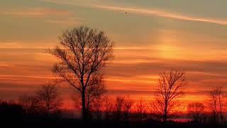 Sunset Stock Footage | Royalty Free | Free HD Videos - no copyright