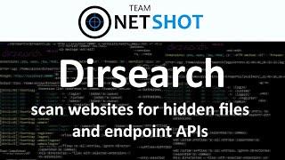 scan websites for hidden files and endpoint APIs with dirsearch