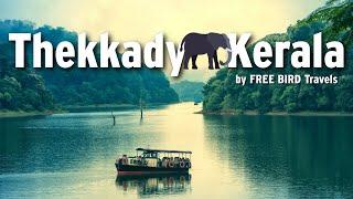 ELEPHANT ALERT! │ Thekkady │ Thekkady Tourist Places │ Best Things To Do In Thekkady │  September