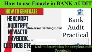 How to generate reports in FINACLE | Finacle कैसे use करें| #bankaudit #audit #Practical_audit