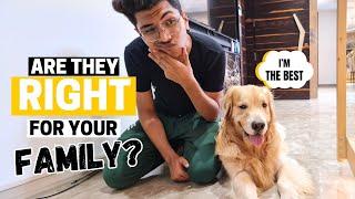 Is a Golden Retriever Right for Your Family?