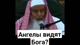 Видят ли ангелы Аллаха? Шейх Джибрин