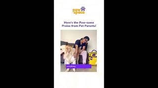 PawSpace Doorstep Pet Grooming, where convenience meets care for your furry companions!