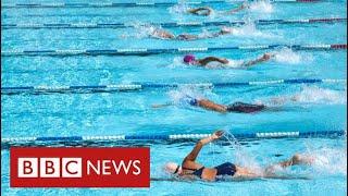 Transgender swimmers banned from elite women’s races - BBC News