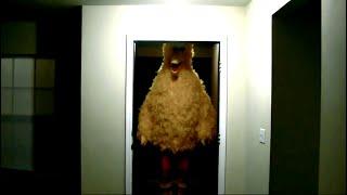 Big Bird kicks down door in The Shining