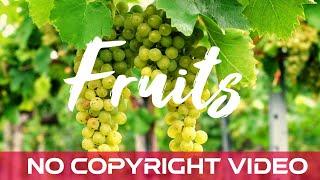 Fruits - No Copyright video | Free Fruits Footage Stock | Fruits Cinematic Videos