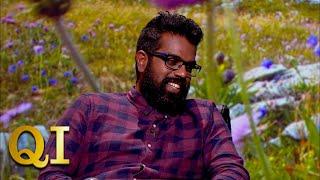 Romesh's Incredible Yogi Bear Impression | QI