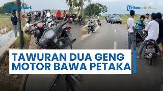 Tawuran Antar Geng Motor di Cirebon Berujung Maut, 1 Remaja Tewas Ditemukan di Persawahan