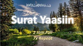 SURAT YASIN - SURAH YASEEN - 2 Jam FUll