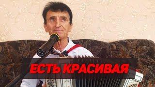 ВАСИЛИЙ НЕСТЕРЕНКО - ЕСТЬ КРАСИВАЯ / ЗАДОРНАЯ ПЕСНЯ ПОД БАЯН