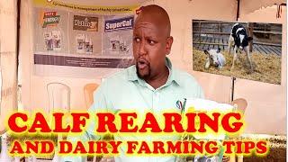 Calf Rearing and Dairy Farming tips