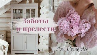 Сharm of the Leaving Summer: Caring for the garden, Tasty preparations | Slow Living vlog