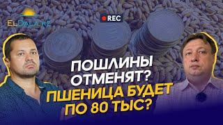 Урожай 2023 в Казахстане: цены на зерно, экспортные ограничения и конкуренция с российской пшеницей