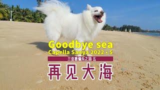 Goodbye Sea 再见大海 | Capella Sanya 2022