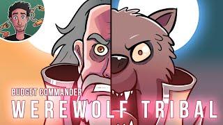 How To Build The Best Werewolf Deck on a Budget | Tovolar | $50 | Budget Commander MTG