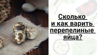 Сколько и как варить перепелиные яйца в кастрюле?