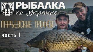 Рыбалка по Украине. Трофейный карп в Марьевке. часть 1