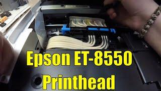 Discover How to Easily Replace an Epson ET-8550 Printhead!