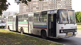 Обзор автобуса IKARUS 280 33 г Тольятти