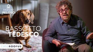 BASSOTTO TEDESCO - Un CANE da compagnia - Tutto sulla RAZZA