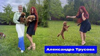 Александра Трусова| русская ракета| все о питомцах| интервью